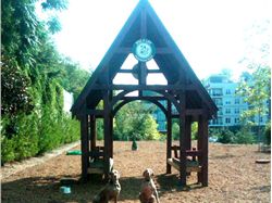 Glenwood Dog Park 2010