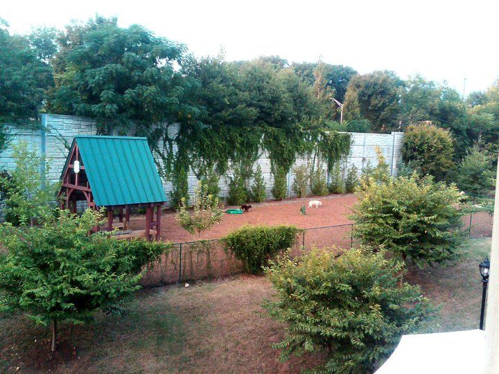 Glenwood Dog Park 2010